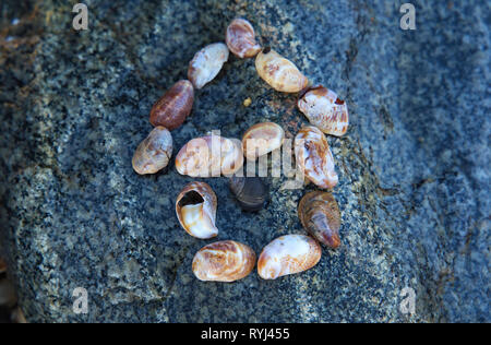 Representation of a snail at his home. There`s no place like two homes. Stock Photo